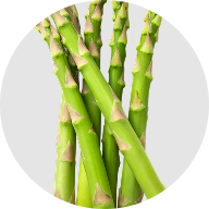 ETAS Asparagus Extract