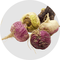 Maca Root