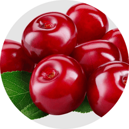 Montmorency Cherry