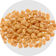 Fenugreek Extract